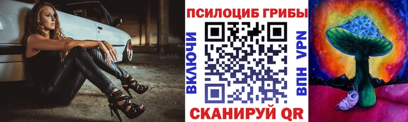 купить наркотики цена Бодайбо Галлюциногенные грибы Psilocybe